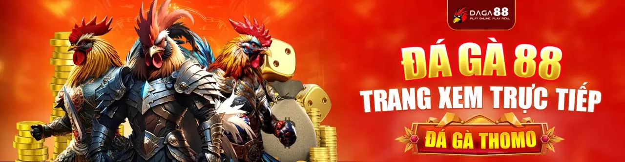 Đá gà trực tuyến sôi động tại dafabet nổ hũ